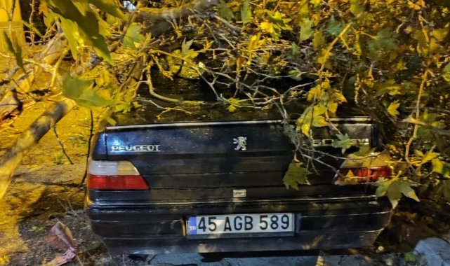 Fırtınada devrilen ağaçlar anında kaldırıldı