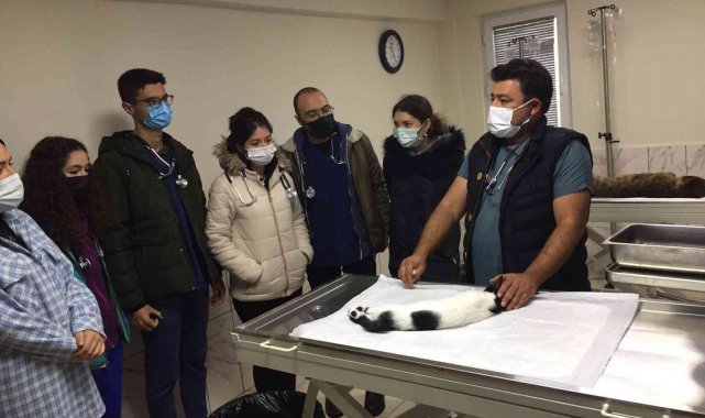 Geçici Hayvan Bakımevi Veterinerlik öğrencilerini ağırladı