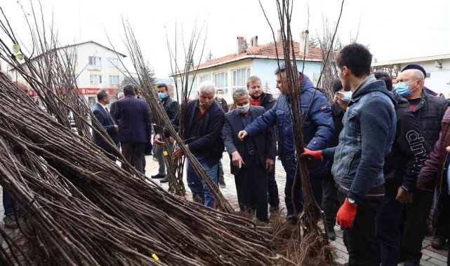 Harmancık ayva ile markalaşacak