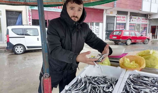 Hava koşulları hamsiyi etkiledi