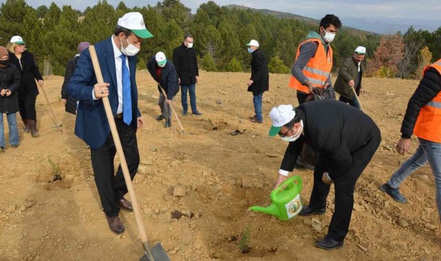 Her öğretmene bir fidan kampanyası