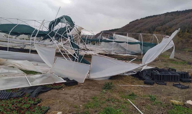 İstanbul'da etkili olan lodos seraları vurdu