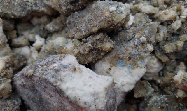 İşte Muhteşem Süleyman&#039;ın ordusuna yedirdiği penisilin gibi peynir