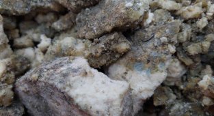 İşte Muhteşem Süleyman'ın ordusuna yedirdiği penisilin gibi peynir