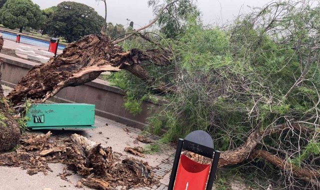 İzmir'de fırtına raporu