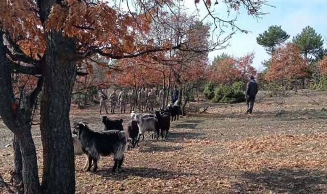 Jandarma ekipleri kaybolan 20 küçükbaş hayvanı drone desteğiyle buldu