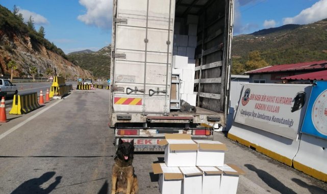 Kamyon kasasında 500 bin liralık makaron çıktı