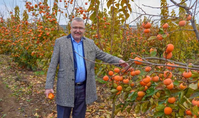 Karacabey'e alternatif tarım modeli