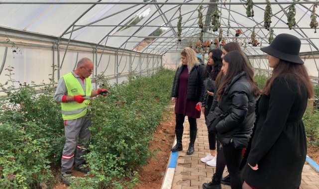 Karagül diyarında hasat zamanı