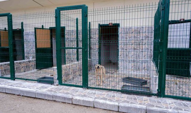 Kastamonu Belediyesi Geçici Hayvan Bakımevi yenileniyor