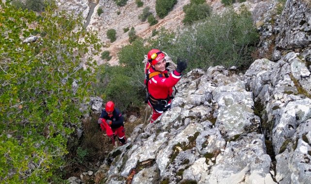 Kayalıklara düşen keçiyi itfaiye kurtardı