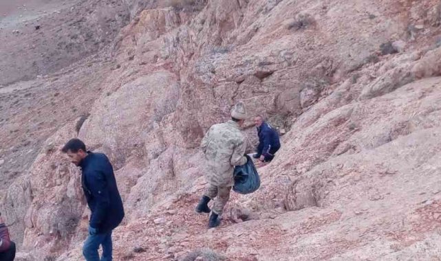 Kayalıklarda mahsur kalan hayvanlar güçlükle kurtarıldı