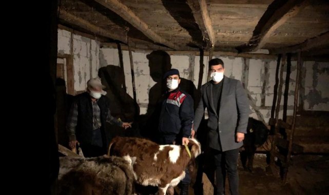 Kayıp hayvanlar sahiplerine teslim edildi