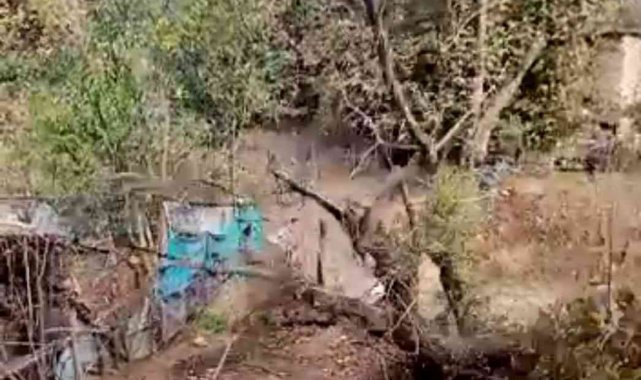 Kestikleri ağaç az daha sonları oluyordu