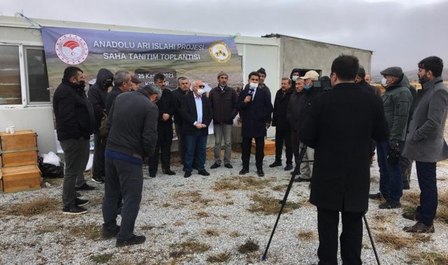 Kırşehir'de "Anadolu Arı Islahı Projesi" tanıtım toplantısı yapıldı