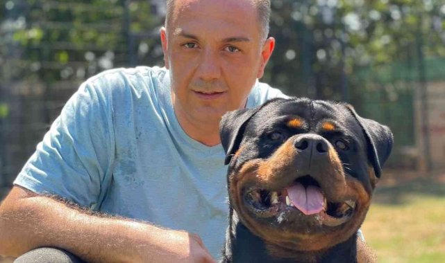 Köpek eğitiminin merkezi: Hause of Istanbul