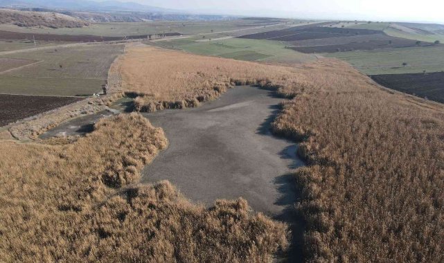 Kuraklığın vurduğu 'kuş cenneti' Gölünyazı kurudu