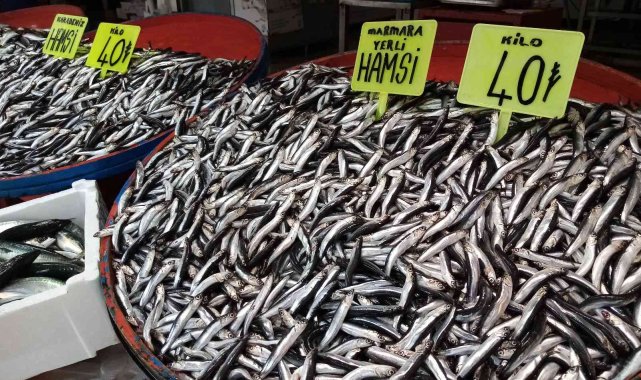 Lodos balık tezgahlarına esti