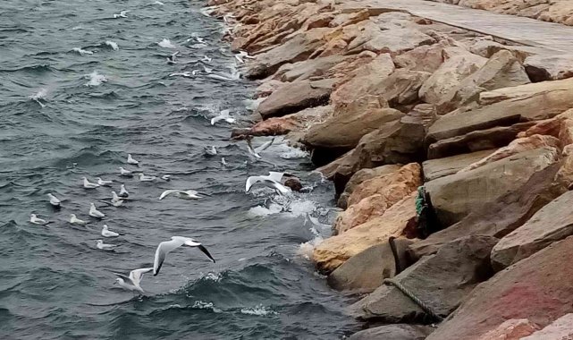 Lodos Bandırma'da hayatı olumsuz etkiledi