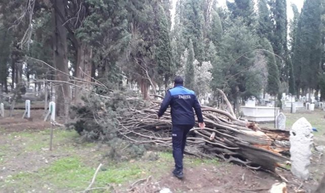 Lodosun hızı 100 kilometreyi geçti, yüz yıllık ağaçlar devrildi