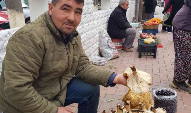 Mantar 50 liradan pazara indi