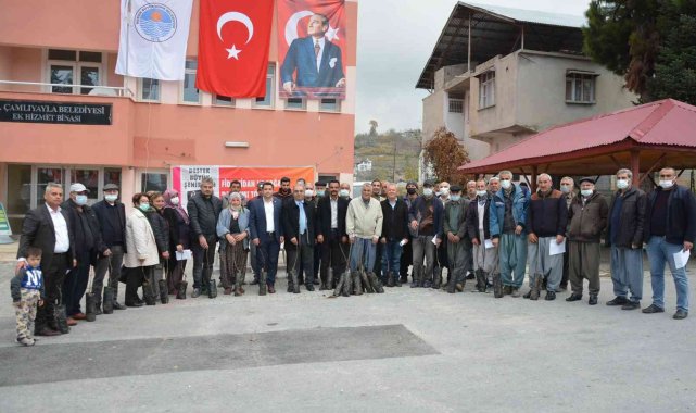 Mersin'de "Ceviz Fidanı Dağıtımı Projesi" tamamlandı