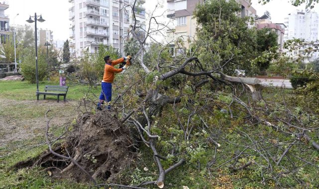 Muratpaşa'da hortumun bıraktığı izler temizleniyor