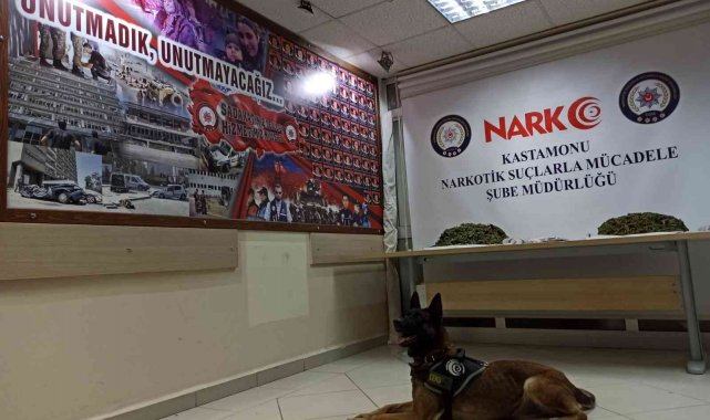 Narkotik köpeği "Ceku" buldu, 4 kilogram esrar ele geçirildi