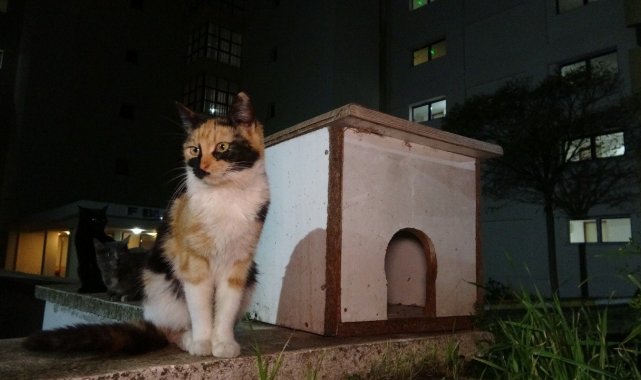 Öğrenci yurdundan çıkan atık mobilyalar bakın neye dönüştü