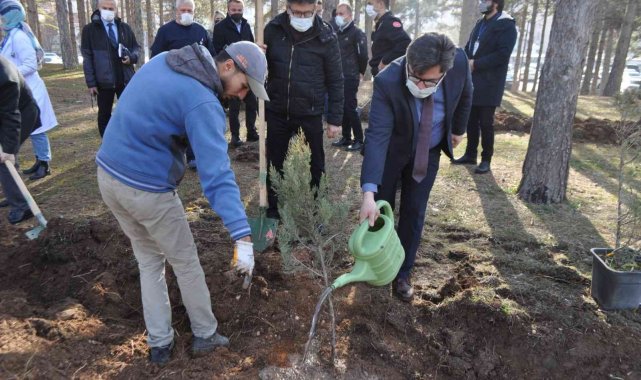 Ömrünü dolduran ağaçların yerine yenileri dikildi