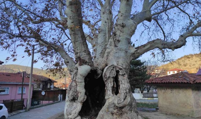 Osmanlı'dan günümüze 700 yıllık tarih