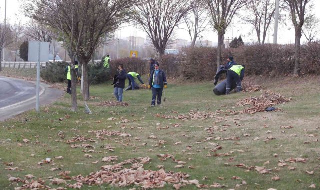 Refüj ve tretuvarlarda yabani ot temizliği