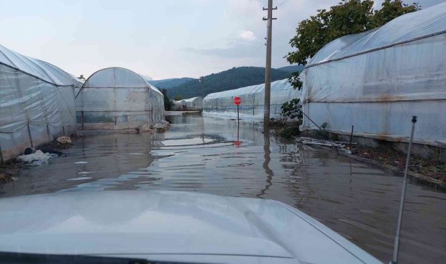 Sağanak yağış, seraların tahliye kanallarını tıkadı
