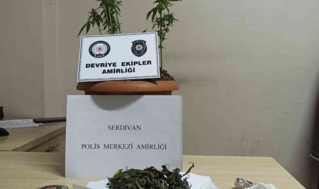 Sakarya'da uyuşturucu operasyonu: 5 gözaltı