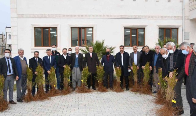 Samsat'ta 60 bin adet nar fidanı dağıtıldı