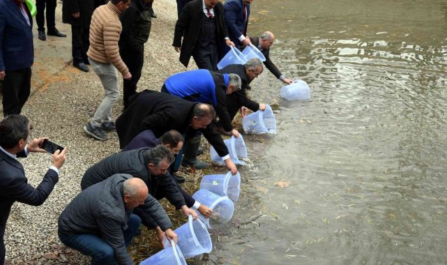 SAREM'de yetiştirilen bin 100 anaç yağ balığı, Seydişehir'de doğayla buluştu
