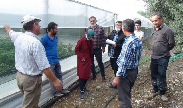 Sel baskınları sonrası zarar gören seralarda hasar tespit çalışmaları başladı