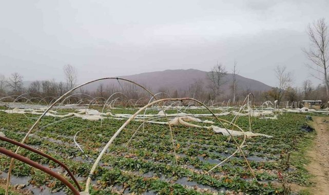 Seralar lodosla parçalandı