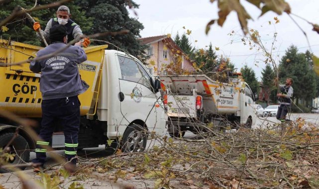 Serdivan Belediyesi'nden sonbahar mesaisi