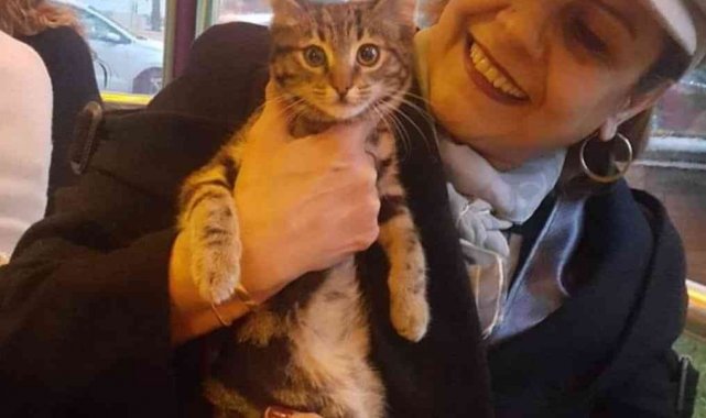 Seslendirme karşılığında sadece mama istiyor