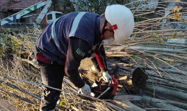 Şiddetli lodos enerji hatlarını tahrip etti