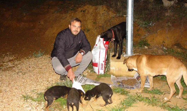 Sloganları 'Nerede bir canlı varsa bu gece aç uyumayacak'