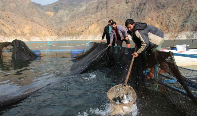 Somon balığı üretiminde Norveç'e rakip oldu