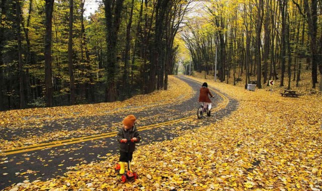 Sonbaharda İl Ormanı adeta büyülüyor
