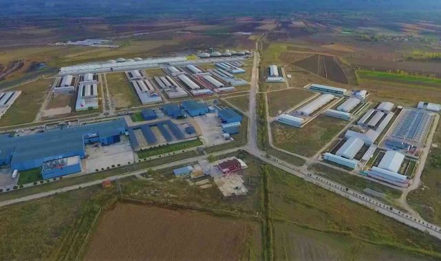 Suluova TDİ Besi OSB, Avrupa devleri arasına girecek