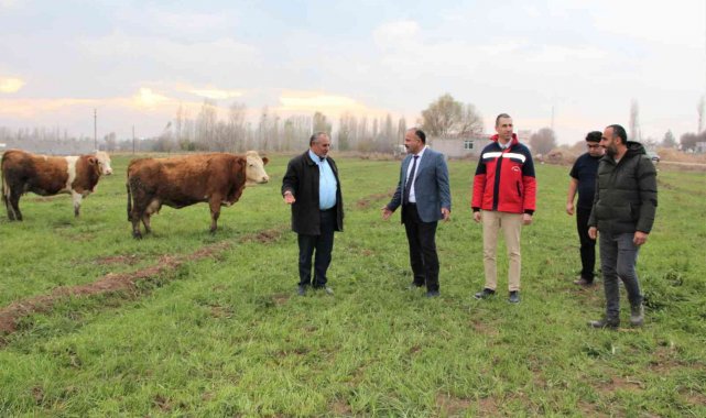 Süt otu ekim alanında inceleme