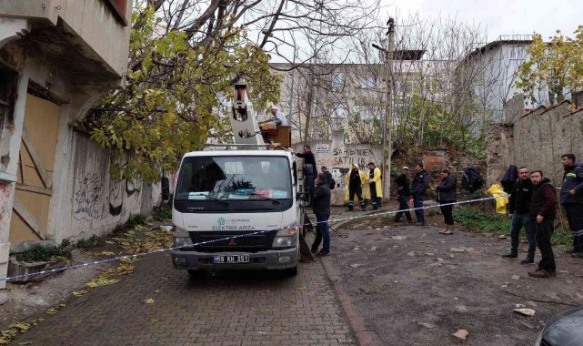 Tekirdağ'da fırtına dev ağaçları uçurdu
