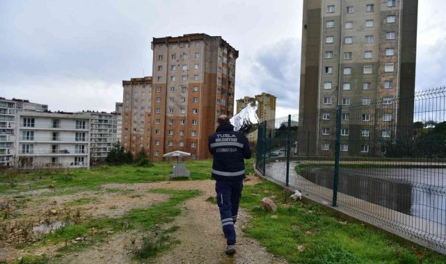 Tuzla Belediyesi'nden sokak hayvanları için mama seferberliği