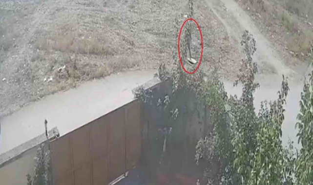 Vicdanlı hırsızlar