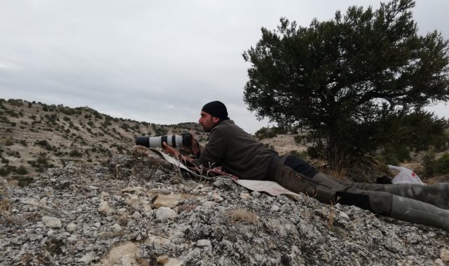 Yaban hayatı onun objektifinden kaçamıyor